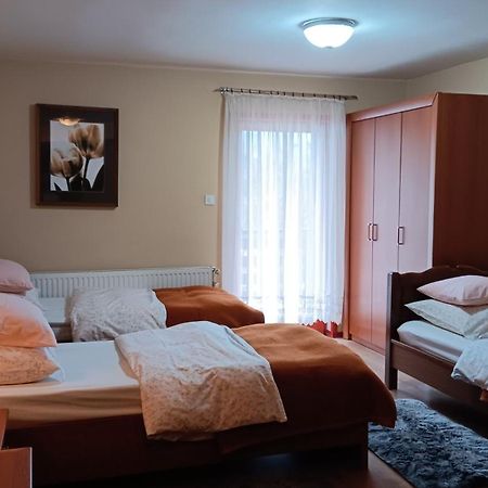 Apartment Medo Ravna Gora Ngoại thất bức ảnh