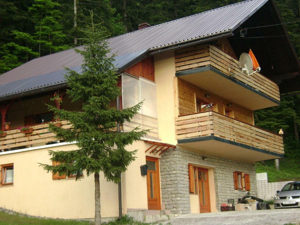 Apartment Medo Ravna Gora Ngoại thất bức ảnh